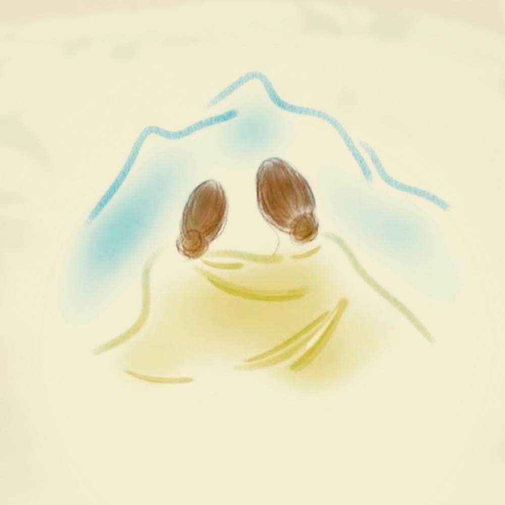 Долина снов Аниэль